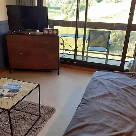 Pegase 18 08 Etage Eleve Balcon Sud Vue Pistes 公寓